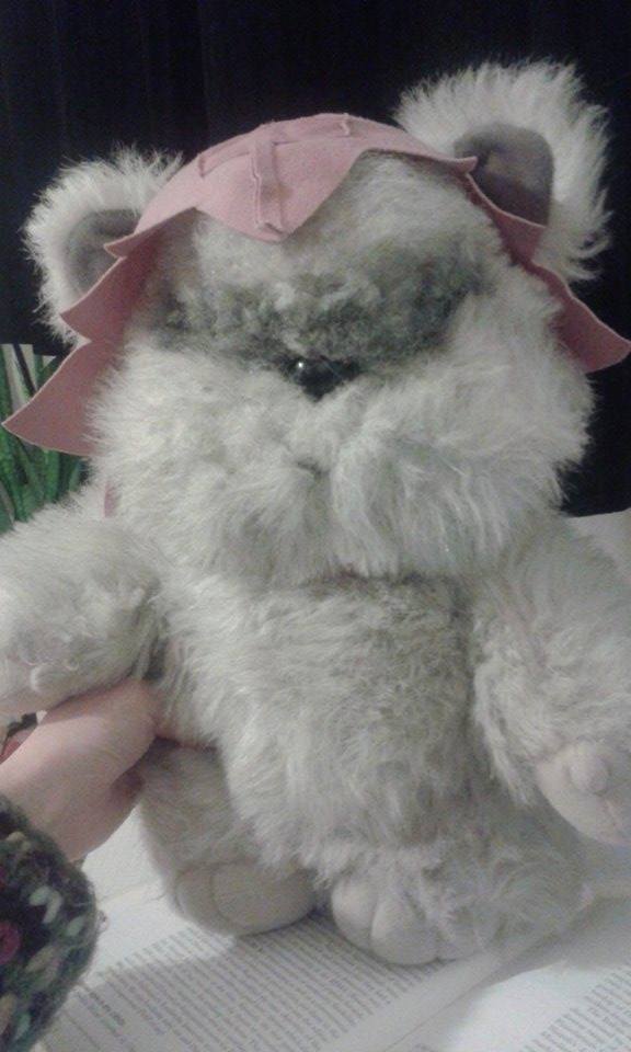 11117434_999812346695663_432766276_n