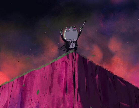 Decorado, az Anilogue Filmfesztivál fődíjasa